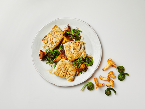 Overhead view of Wild Alaskan black cod fillets with seared golden crust, fiddlehead ferns and mushrooms on a white plate