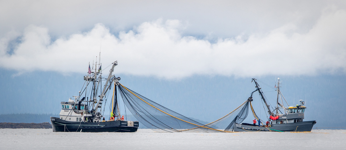 Two fishing boats deploying nets in calm water under a cloudy sky.