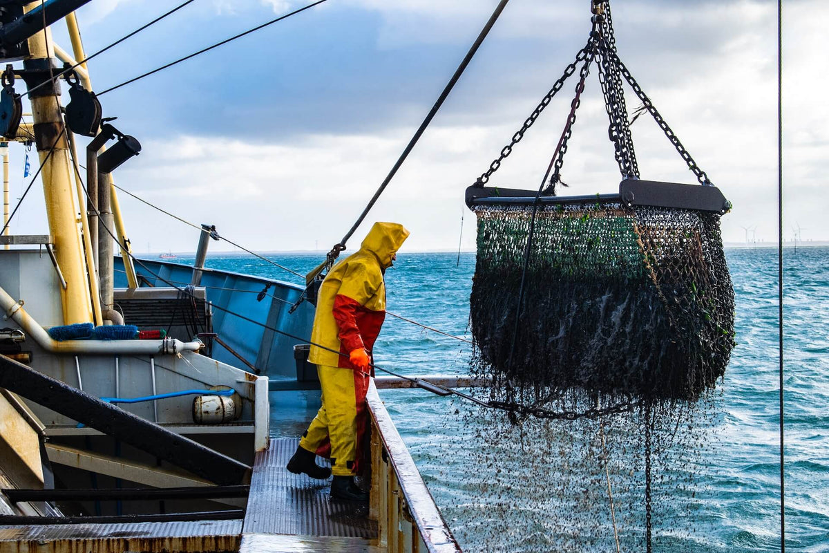 Fisherman in yellow rain gear on boat lifting large net over ocean