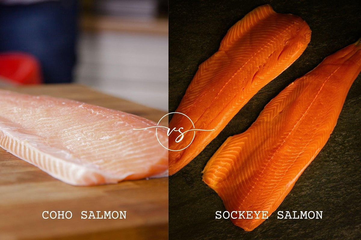 Split comparison photo showing a pale Coho fillet on the left and deep-red Sockeye fillets on the right with vs overlay and labels COHO SALMON and SOCKEYE SALMON