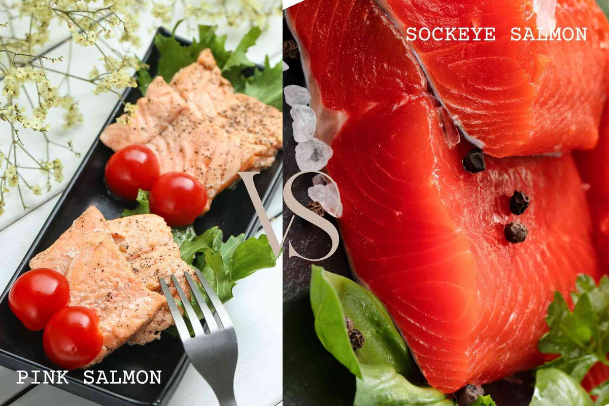 pink salmon vs sockeye salmon