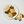 Overhead view of Wild Alaskan black cod fillets with seared golden crust, fiddlehead ferns and mushrooms on a white plate