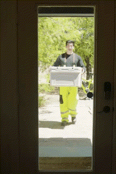 Salmon delivery arriving at your door